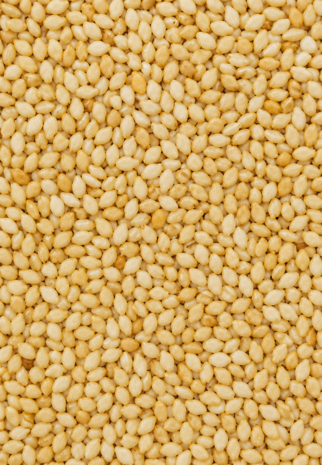 Sesame Seeds