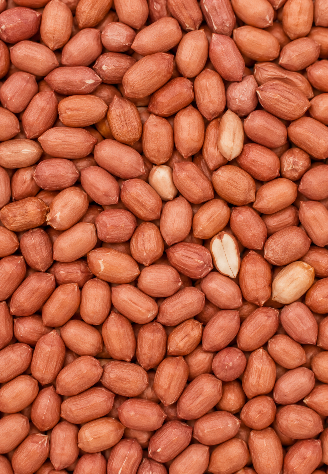  Beans & Peas