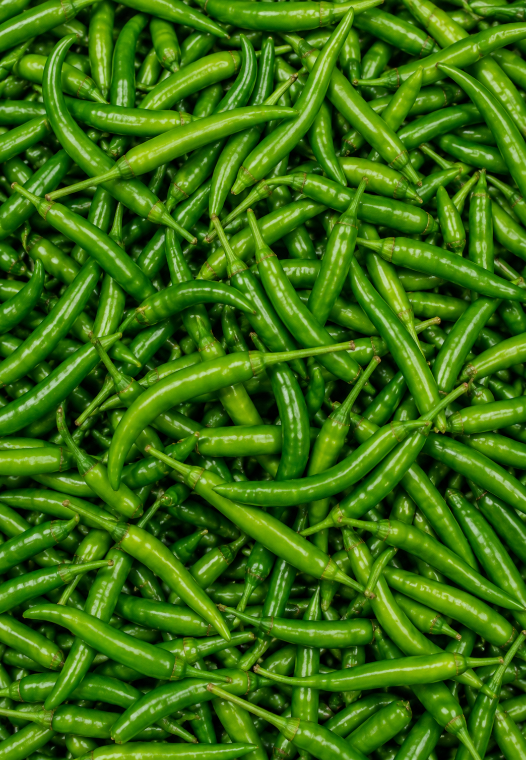 Fresh G4 Green Chilli